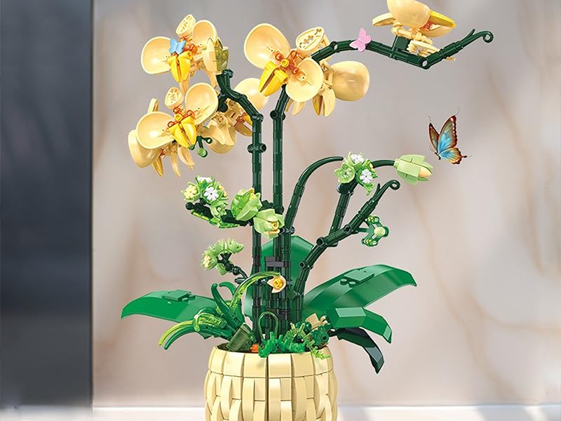 orchids plants live building blocks flower knows